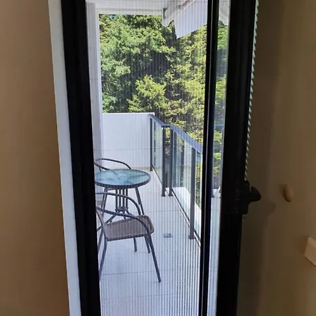 за гости ,,1в-15