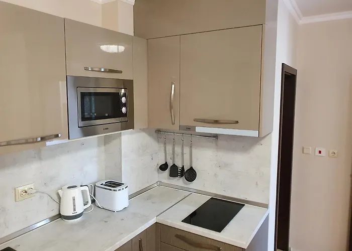 за гости ,,1в-15